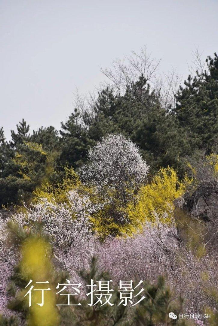 农作物贸易巨头艾地盟股票暴跌 期权交易员从中快速获利1,000％